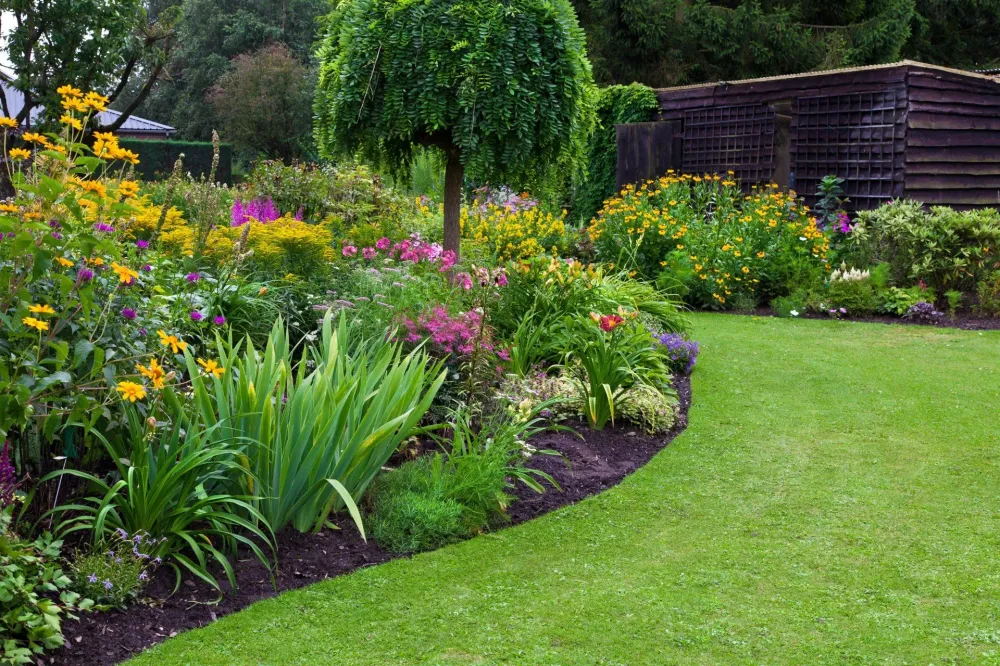création d'un jardinwebp
